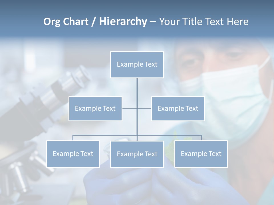Corn Efficient Scientific PowerPoint Template