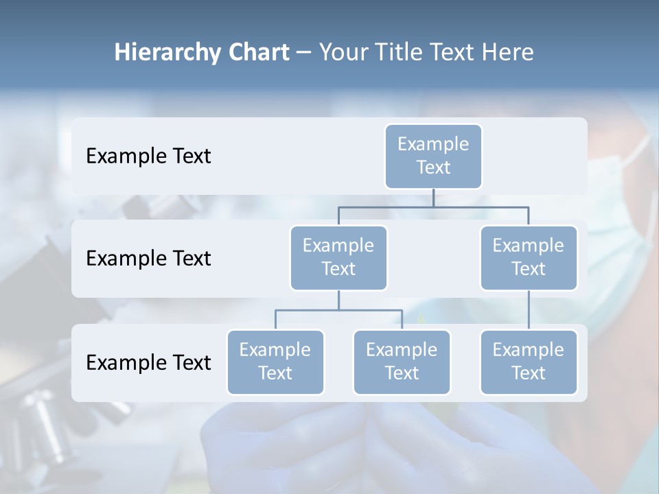 Corn Efficient Scientific PowerPoint Template