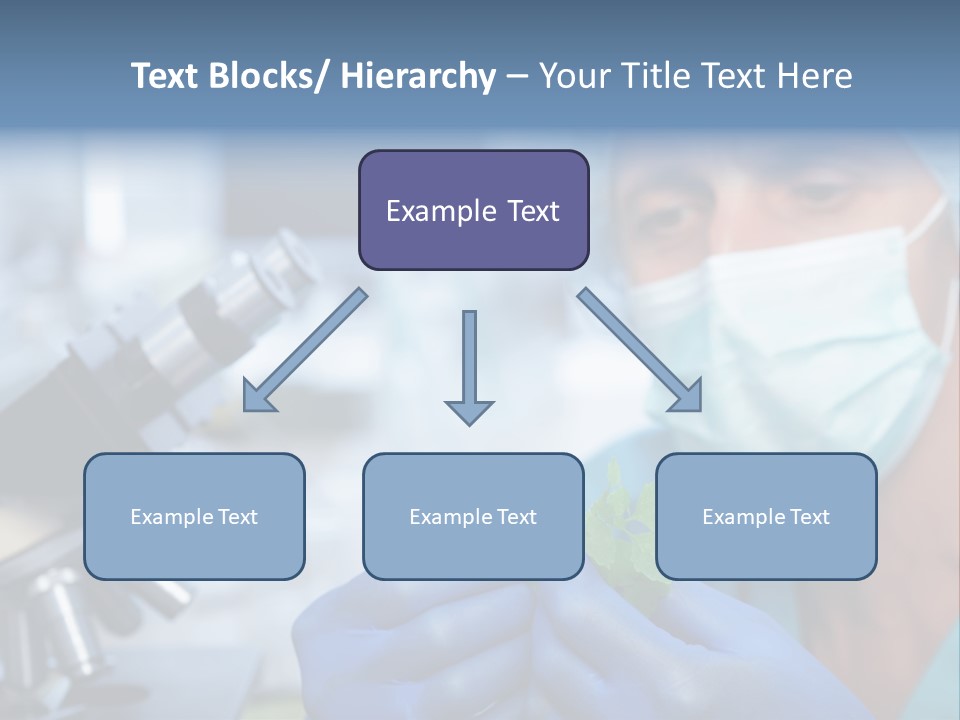 Corn Efficient Scientific PowerPoint Template