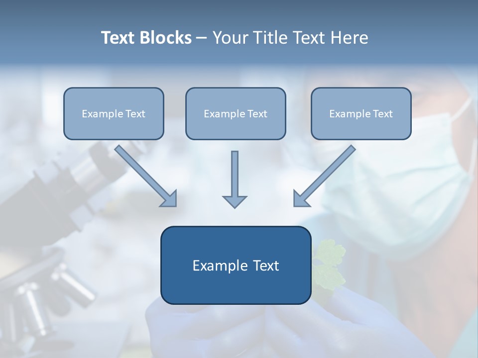Corn Efficient Scientific PowerPoint Template