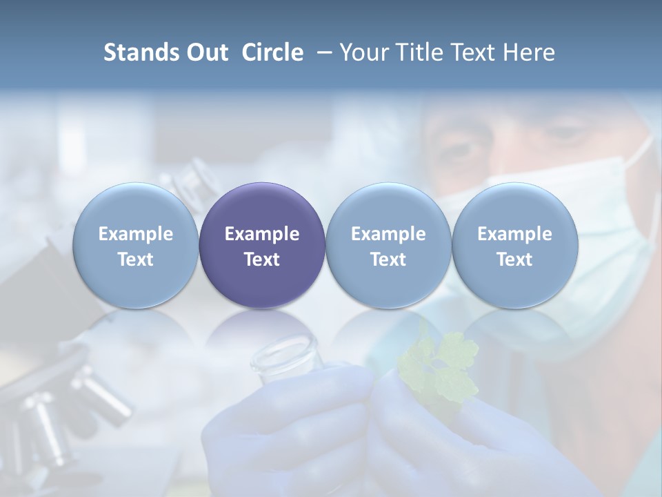 Corn Efficient Scientific PowerPoint Template