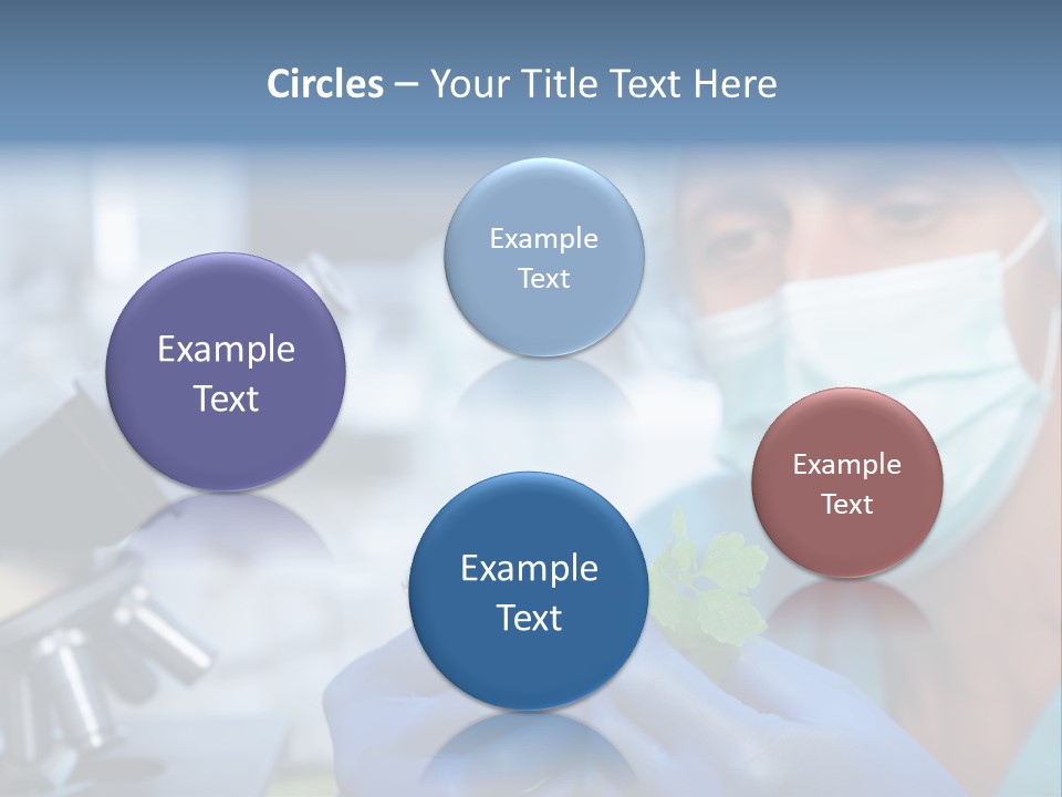Corn Efficient Scientific PowerPoint Template