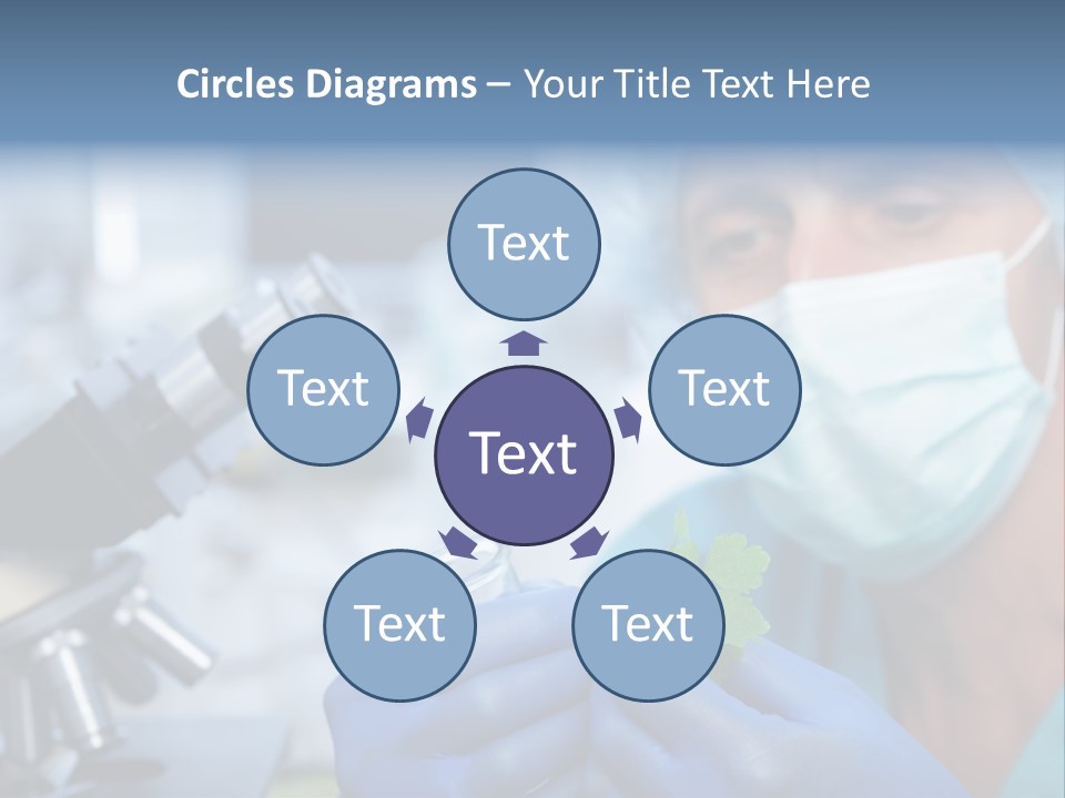 Corn Efficient Scientific PowerPoint Template