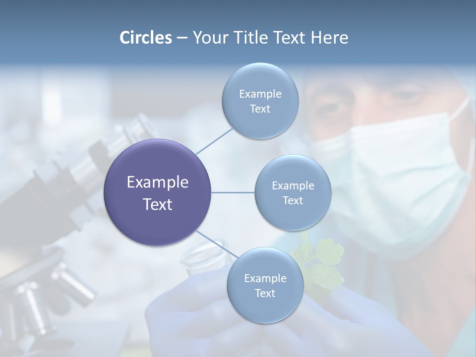 Corn Efficient Scientific PowerPoint Template