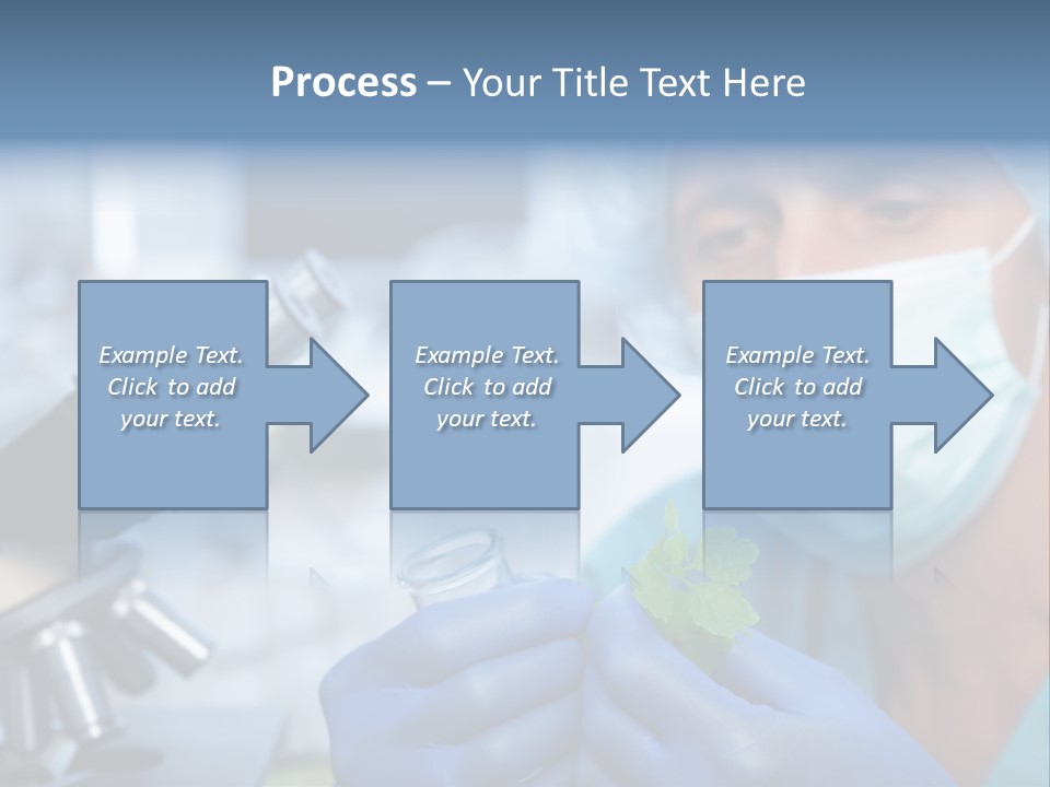 Corn Efficient Scientific PowerPoint Template