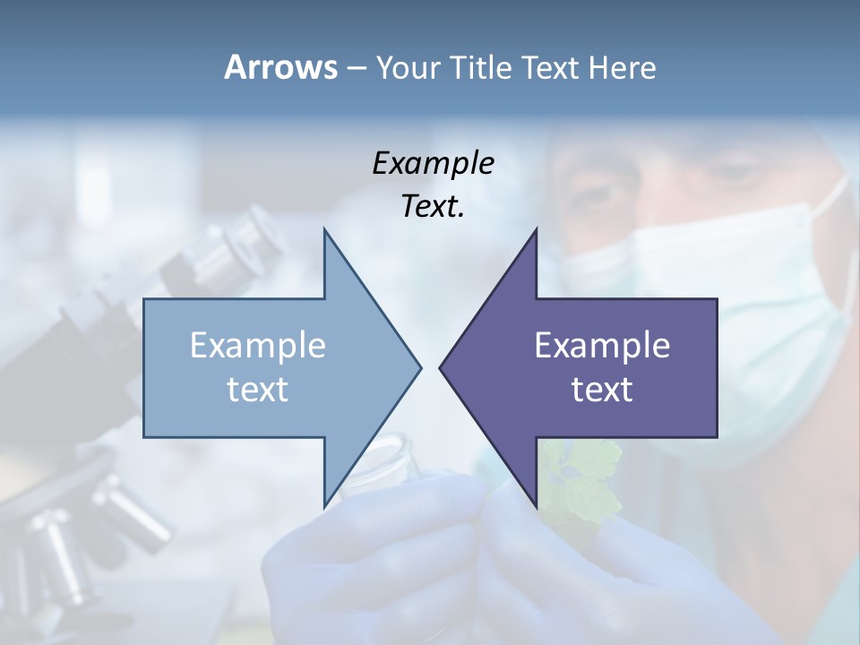 Corn Efficient Scientific PowerPoint Template