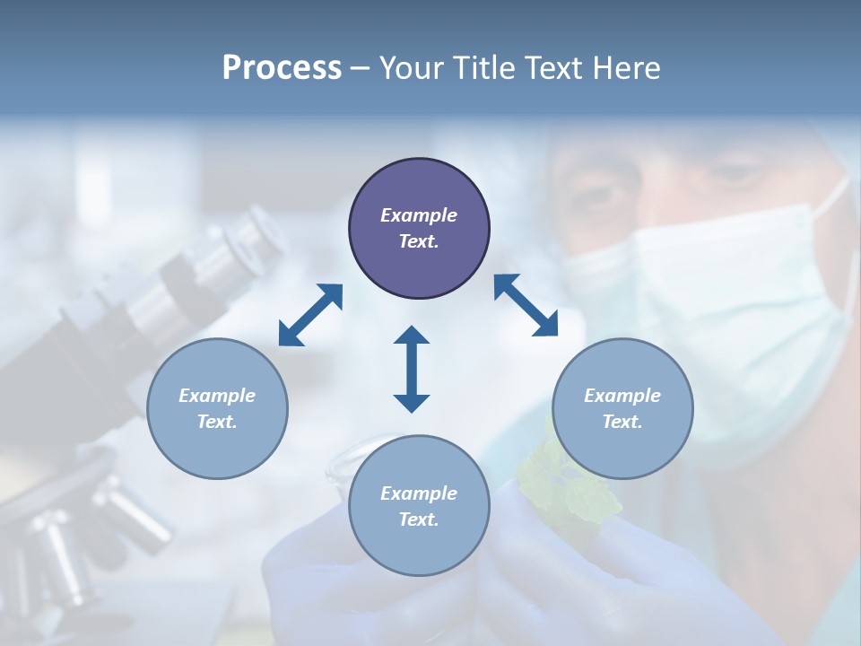 Corn Efficient Scientific PowerPoint Template