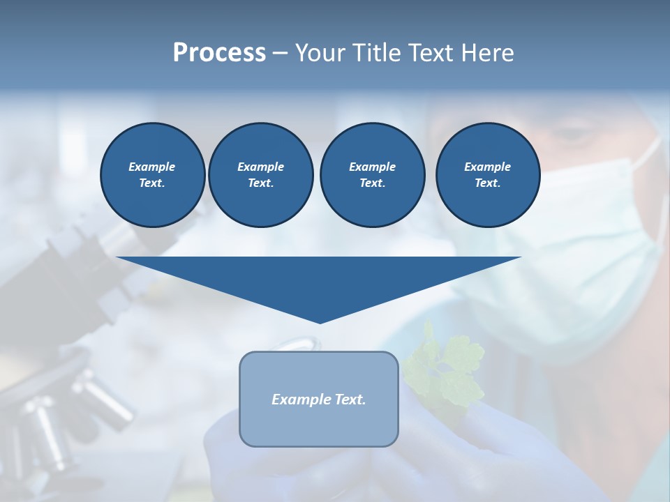 Corn Efficient Scientific PowerPoint Template