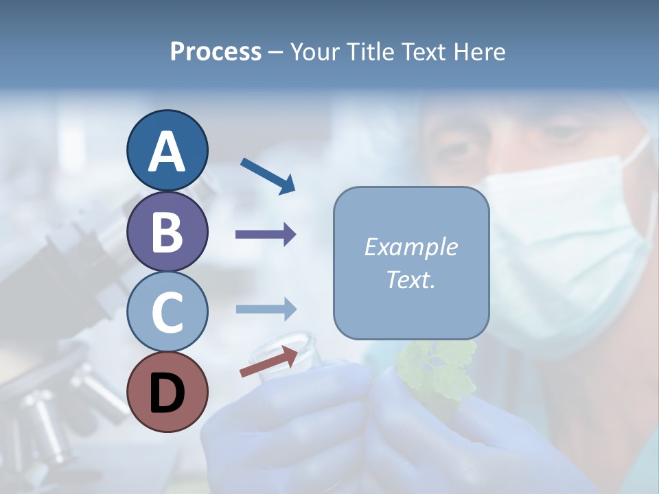 Corn Efficient Scientific PowerPoint Template