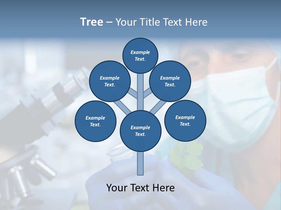 Corn Efficient Scientific PowerPoint Template