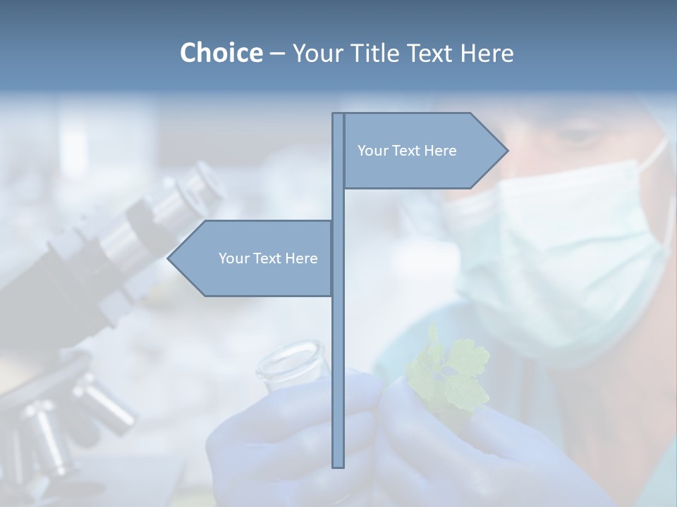 Corn Efficient Scientific PowerPoint Template