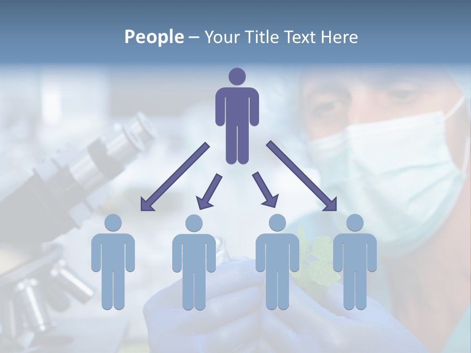 Corn Efficient Scientific PowerPoint Template