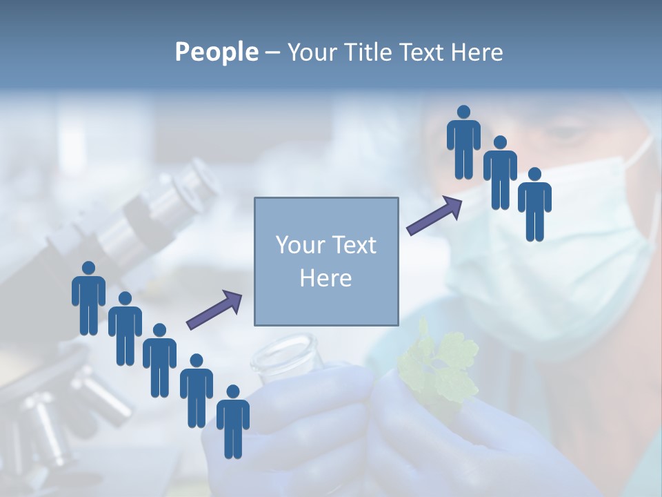 Corn Efficient Scientific PowerPoint Template