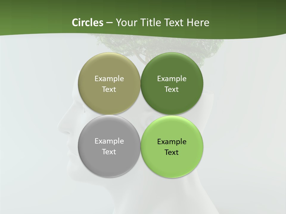 Education Profile Design PowerPoint Template