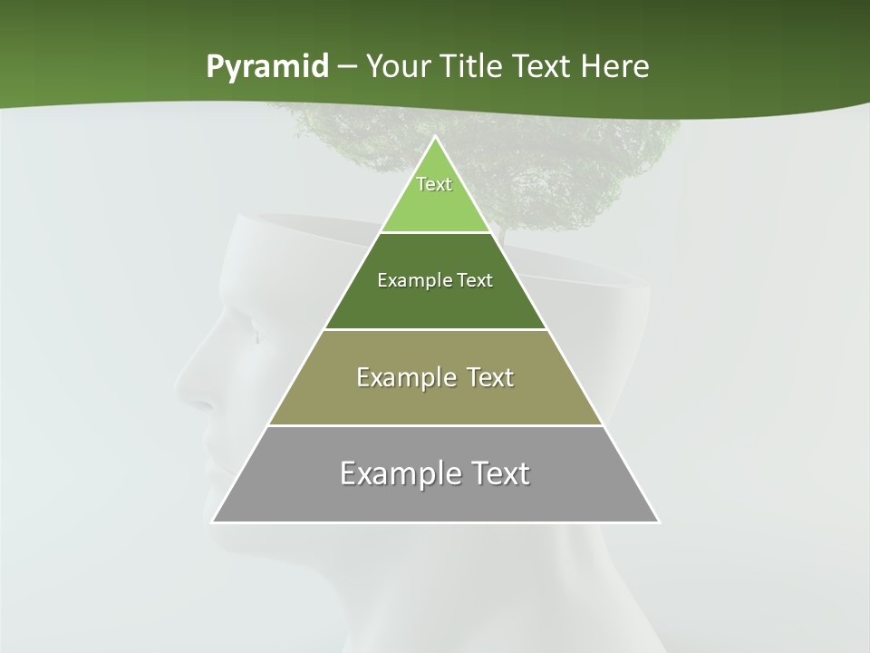Education Profile Design PowerPoint Template
