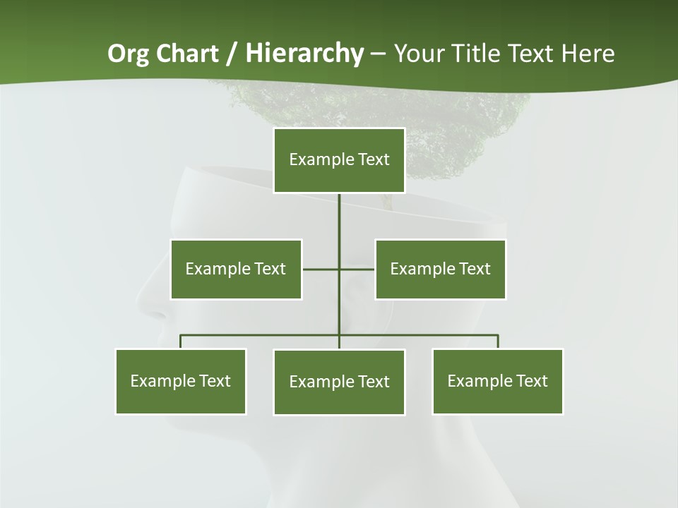 Education Profile Design PowerPoint Template