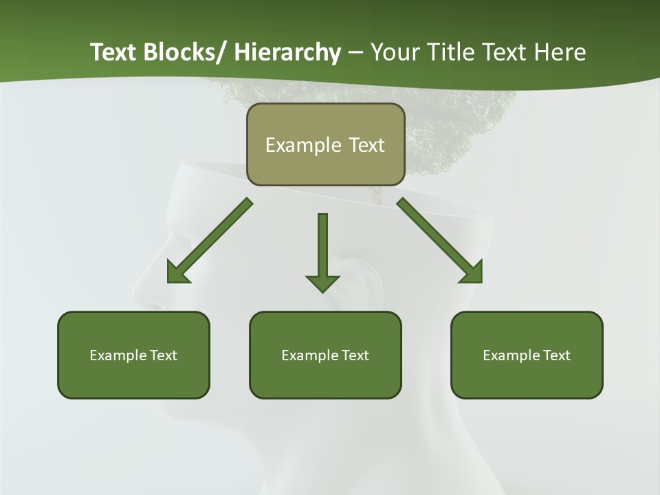 Education Profile Design PowerPoint Template