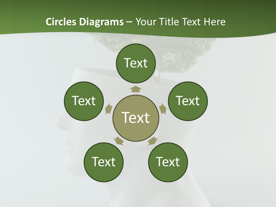 Education Profile Design PowerPoint Template