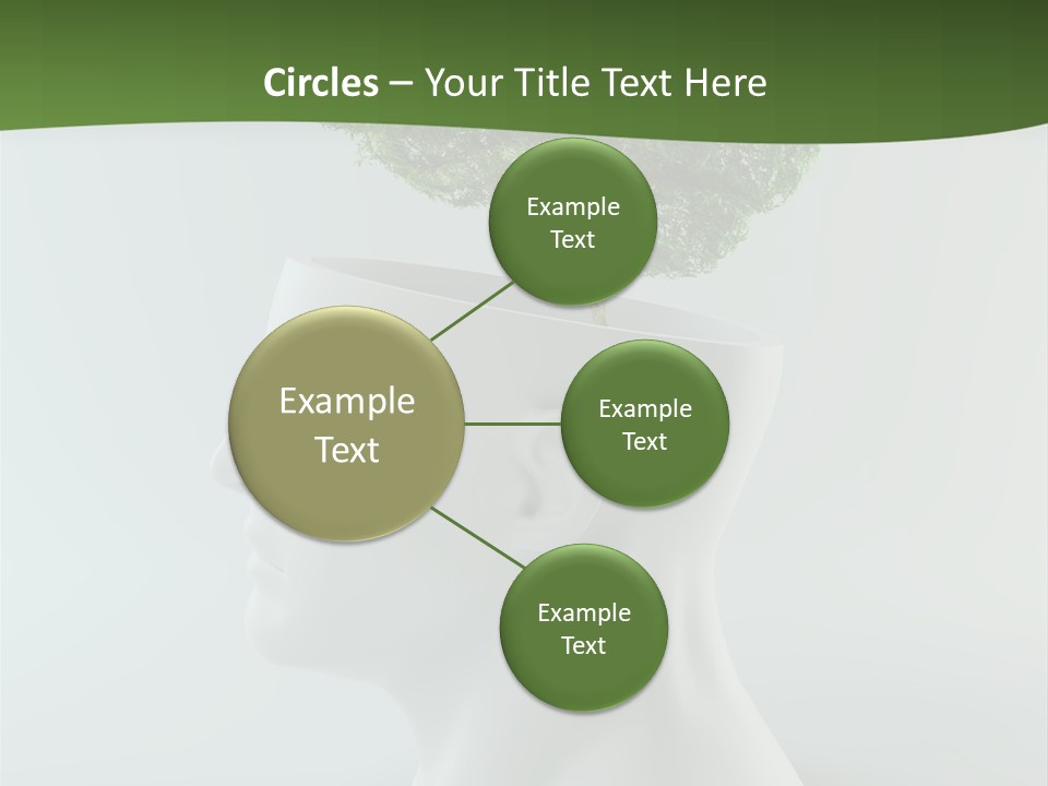Education Profile Design PowerPoint Template