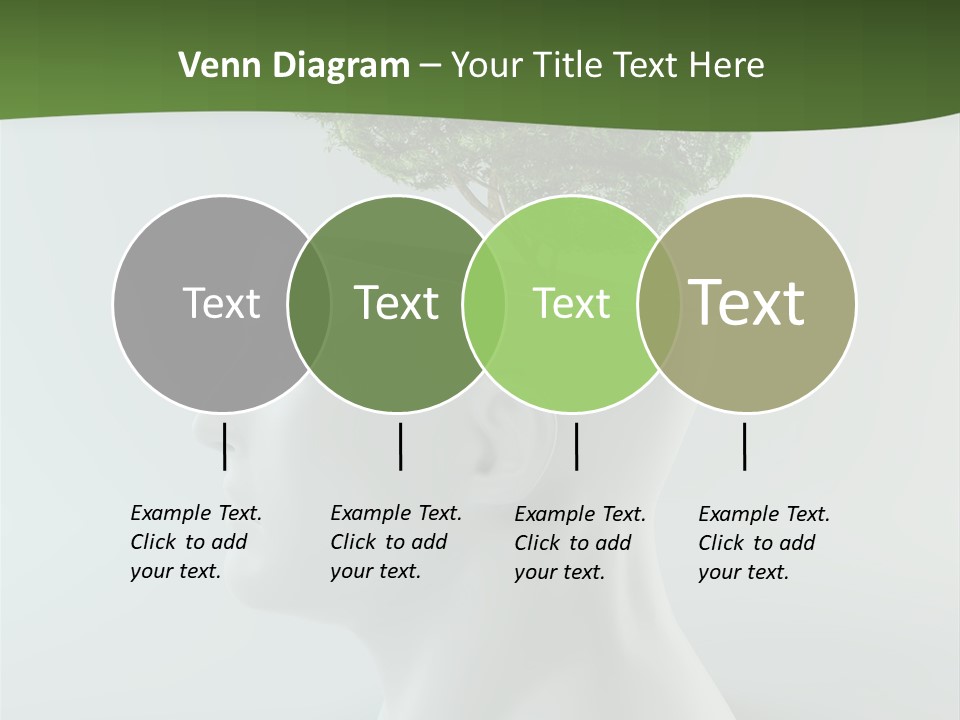 Education Profile Design PowerPoint Template