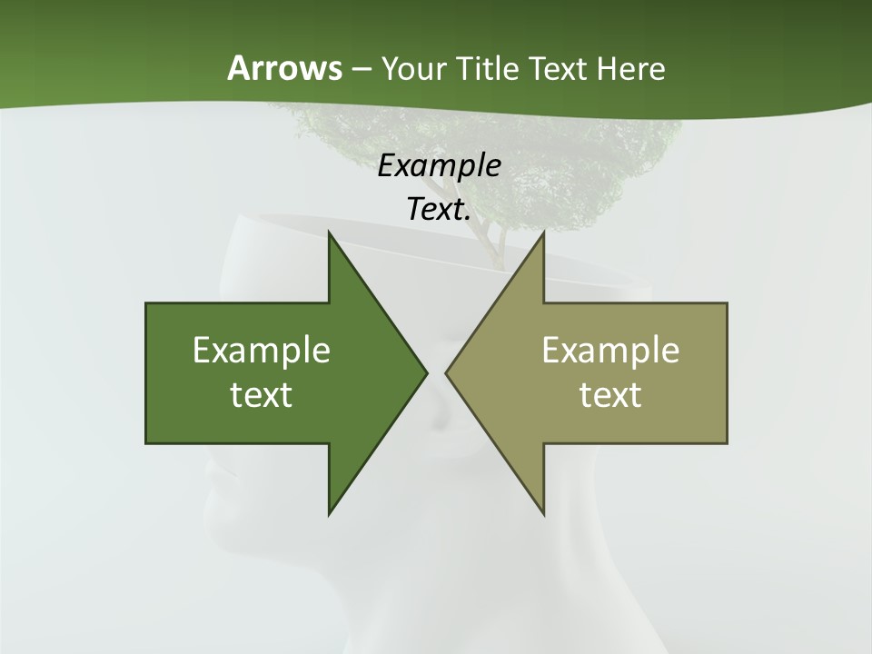 Education Profile Design PowerPoint Template
