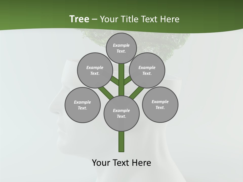 Education Profile Design PowerPoint Template