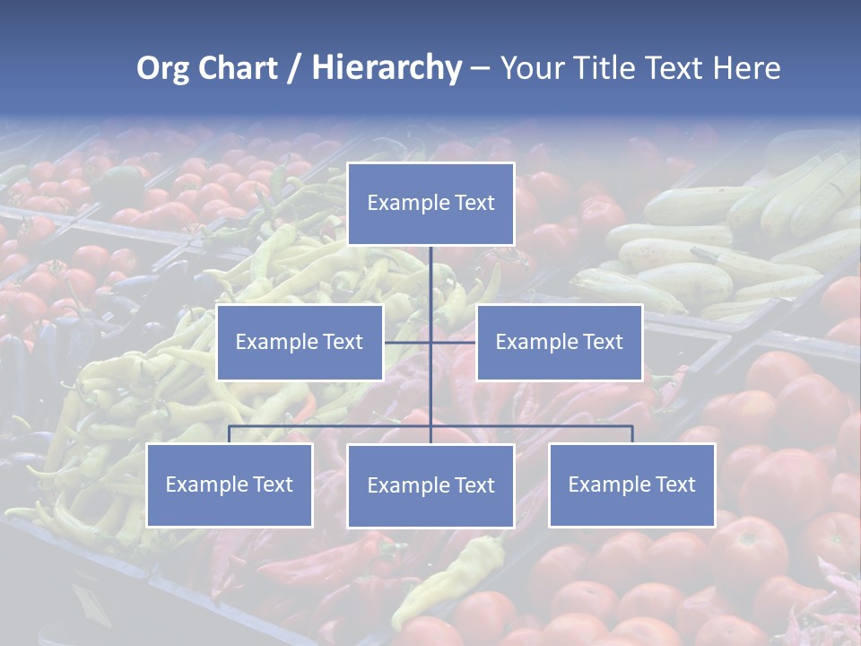 Zucchini Vegetarian Vitamins PowerPoint Template