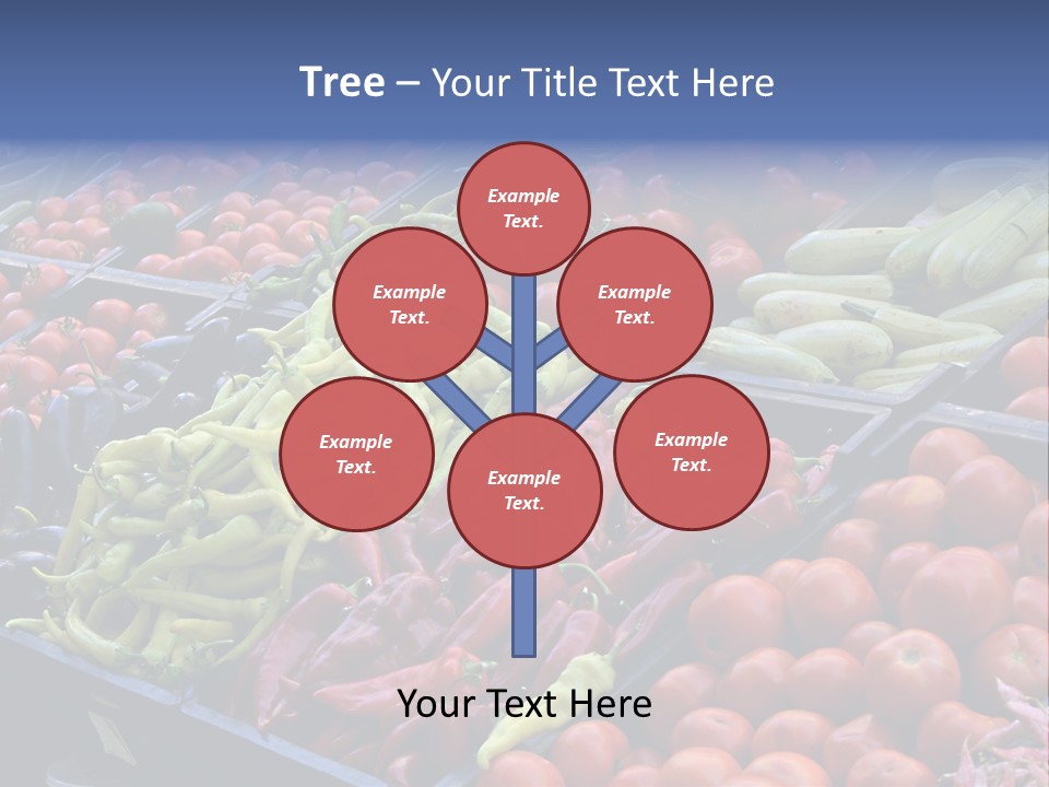 Zucchini Vegetarian Vitamins PowerPoint Template