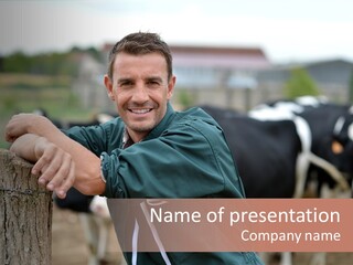 Countryside Cattle Agriculture PowerPoint Template