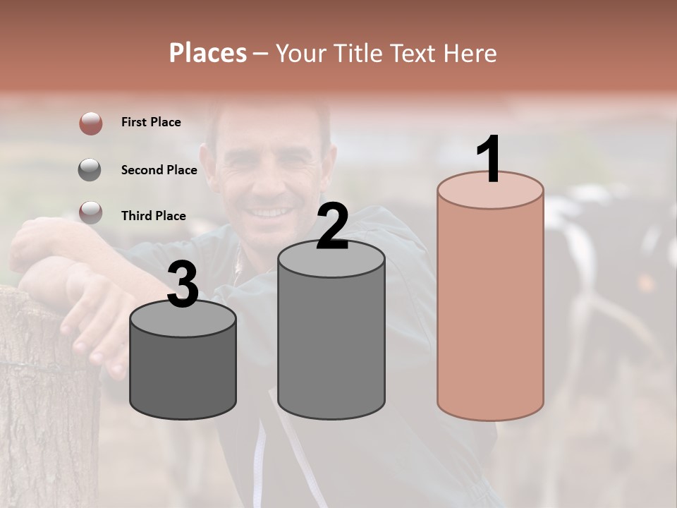 Countryside Cattle Agriculture PowerPoint Template