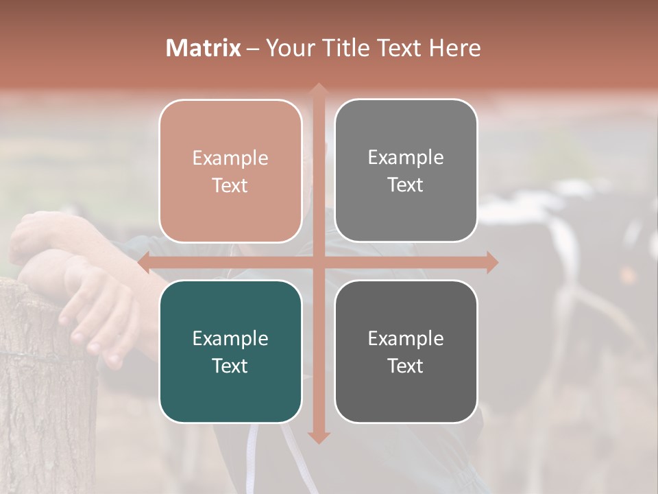 Countryside Cattle Agriculture PowerPoint Template