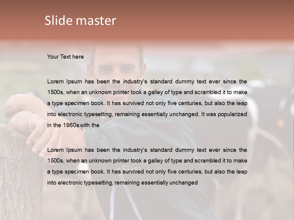 Countryside Cattle Agriculture PowerPoint Template