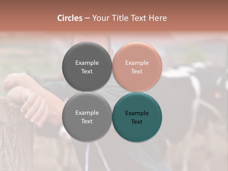 Countryside Cattle Agriculture PowerPoint Template