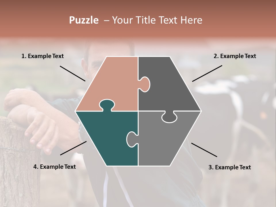 Countryside Cattle Agriculture PowerPoint Template