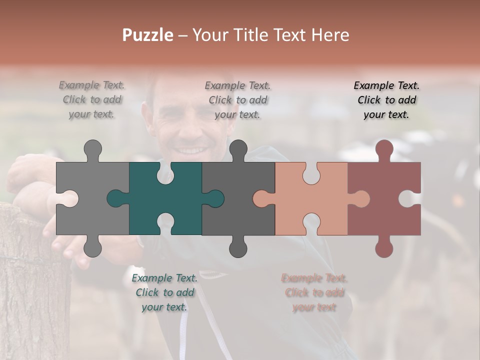 Countryside Cattle Agriculture PowerPoint Template