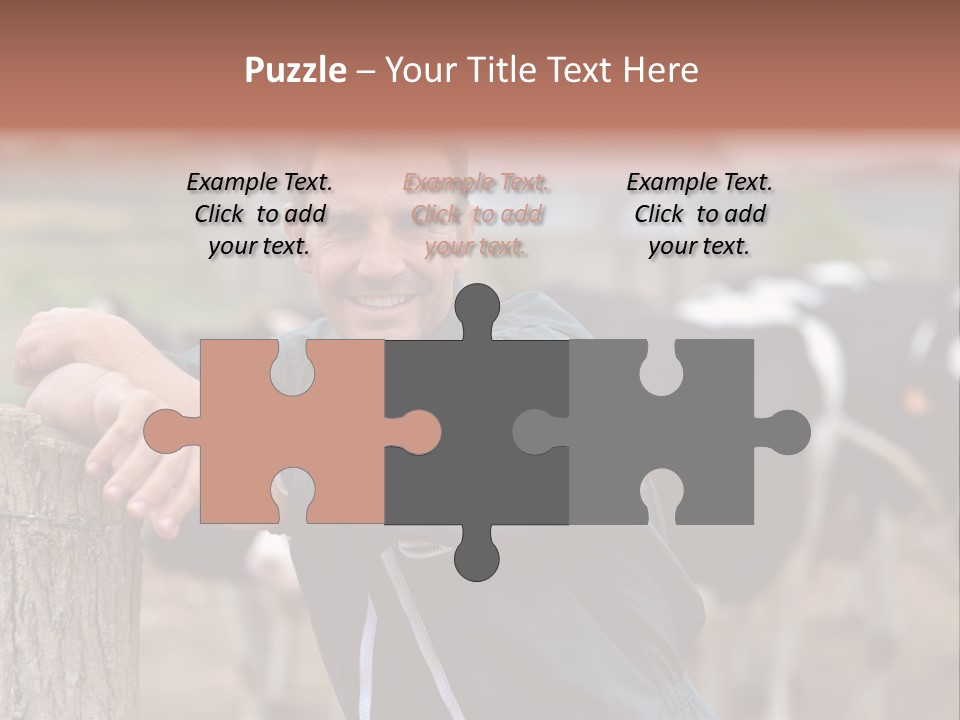 Countryside Cattle Agriculture PowerPoint Template