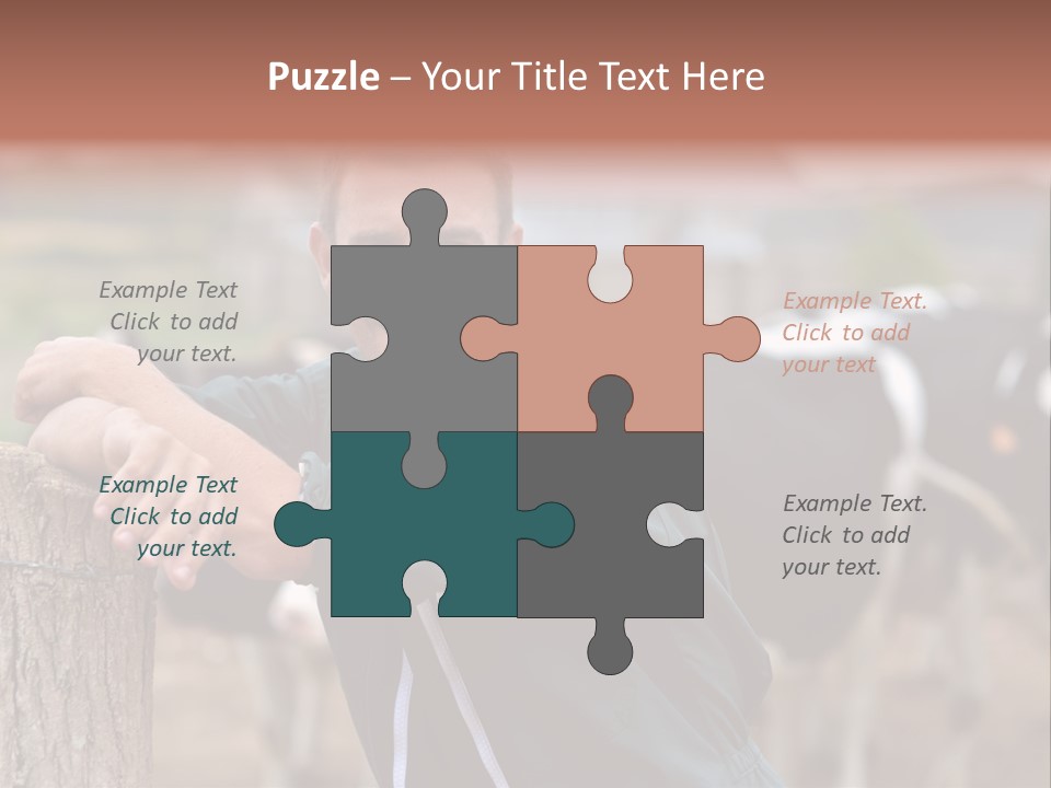 Countryside Cattle Agriculture PowerPoint Template