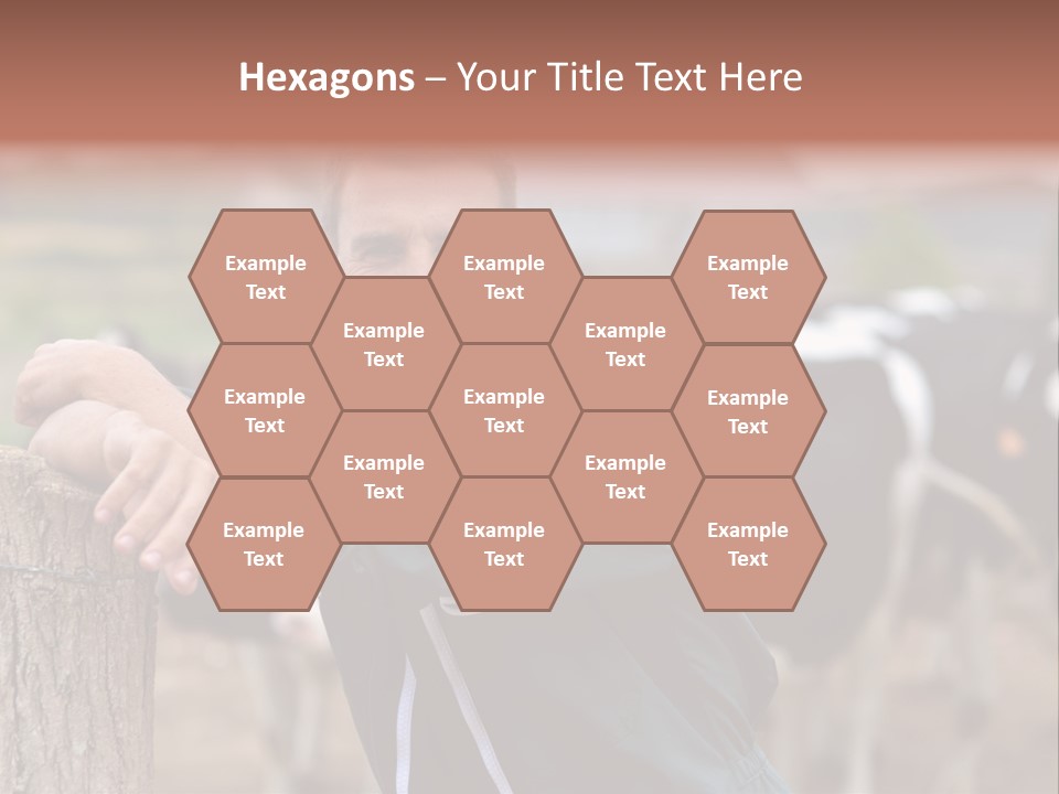 Countryside Cattle Agriculture PowerPoint Template