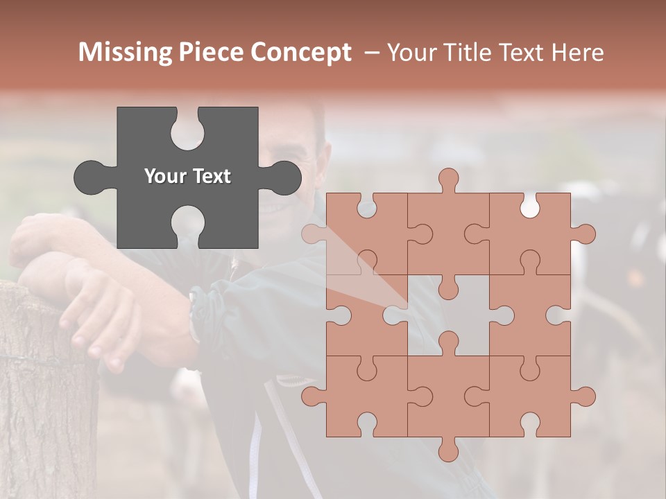 Countryside Cattle Agriculture PowerPoint Template