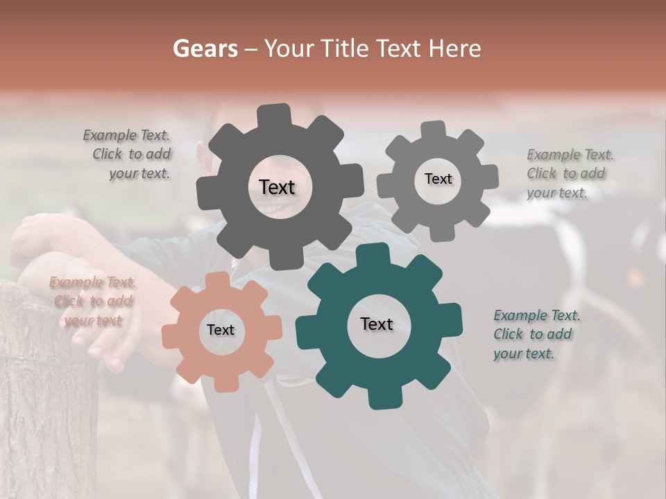 Countryside Cattle Agriculture PowerPoint Template