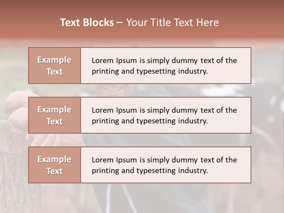 Countryside Cattle Agriculture PowerPoint Template