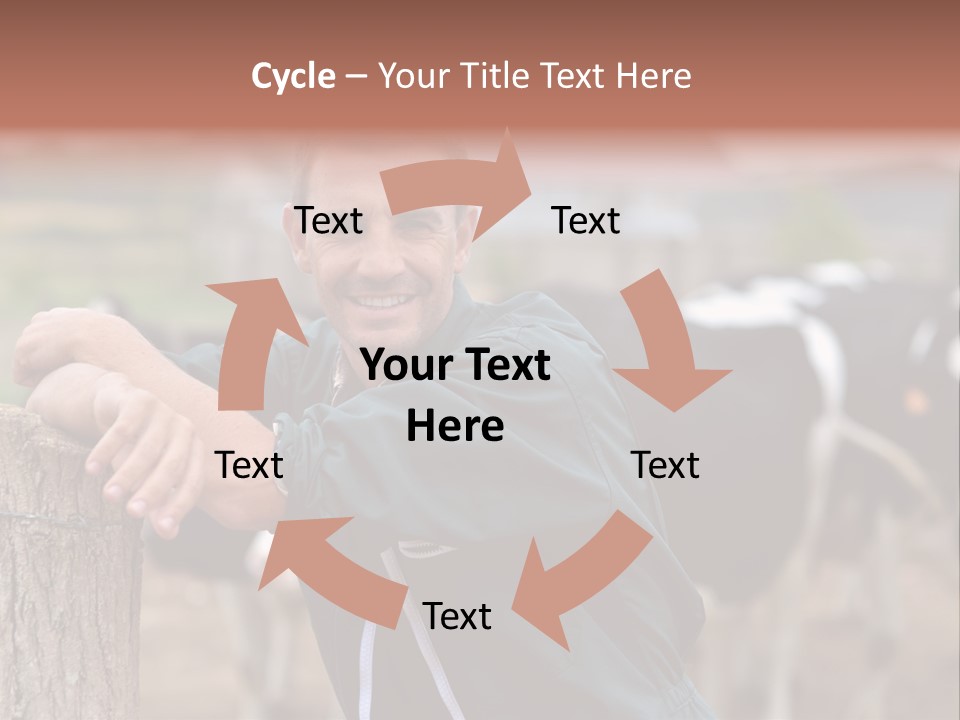 Countryside Cattle Agriculture PowerPoint Template