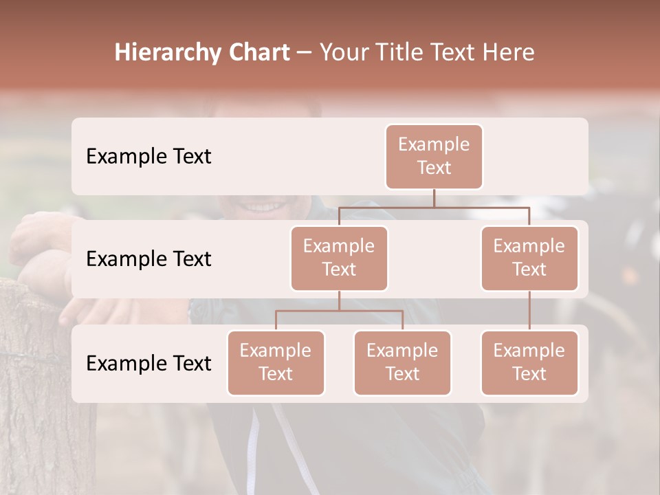 Countryside Cattle Agriculture PowerPoint Template