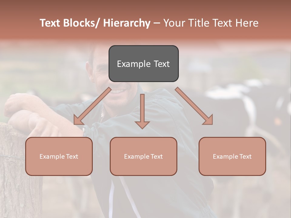 Countryside Cattle Agriculture PowerPoint Template