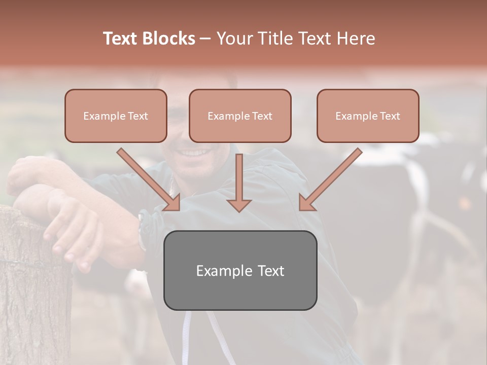 Countryside Cattle Agriculture PowerPoint Template