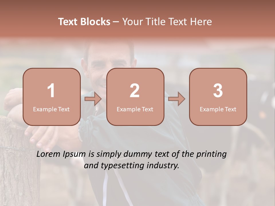 Countryside Cattle Agriculture PowerPoint Template