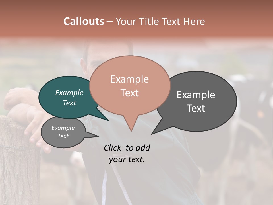 Countryside Cattle Agriculture PowerPoint Template