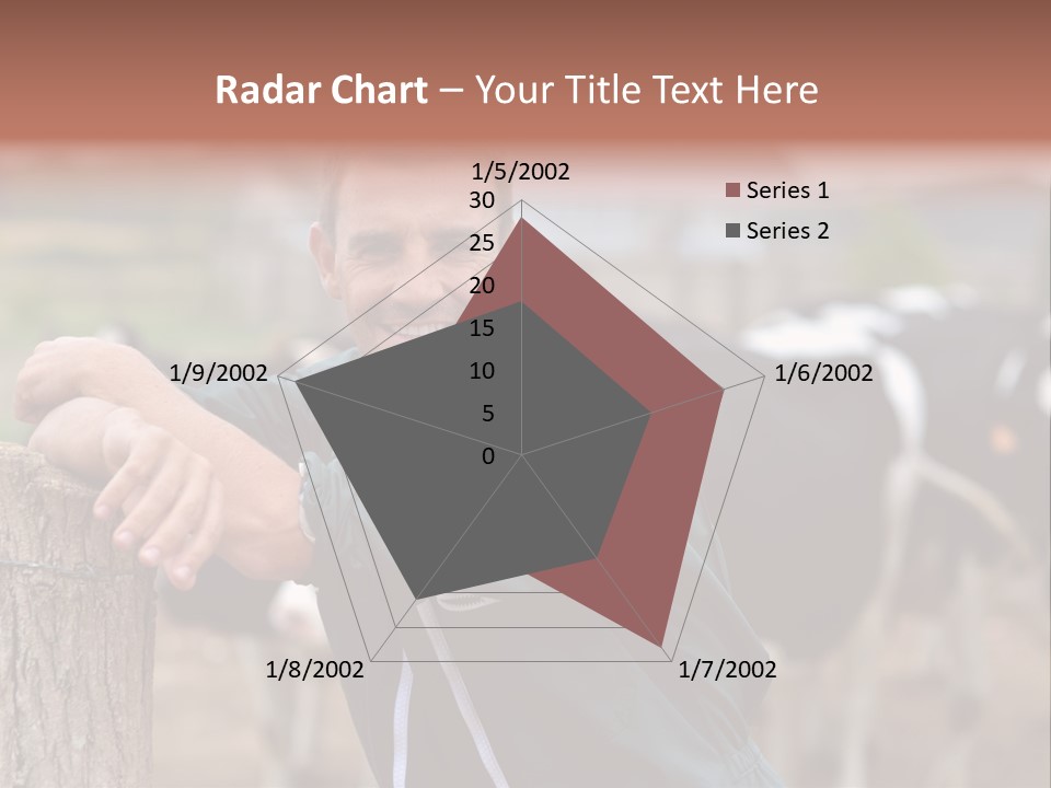 Countryside Cattle Agriculture PowerPoint Template
