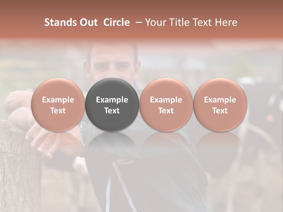 Countryside Cattle Agriculture PowerPoint Template