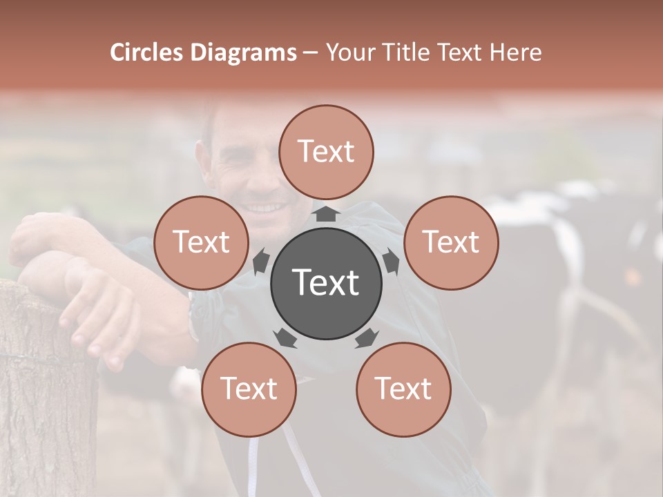 Countryside Cattle Agriculture PowerPoint Template